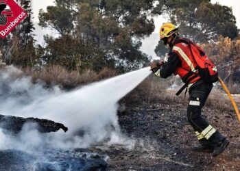 Controlado el incendio forestal declarado en Benidorm