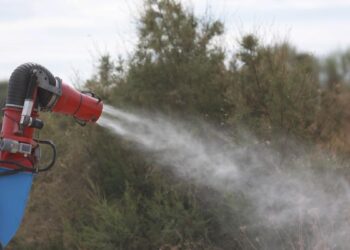La lucha del hijo de la última fallecida por el virus del Nilo: ‘Fui muy pesado, tenía el runrún del mosquito en la cabeza’