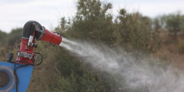 La lucha del hijo de la última fallecida por el virus del Nilo: ‘Fui muy pesado, tenía el runrún del mosquito en la cabeza’