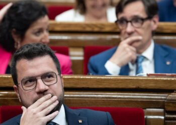 El preacuerdo y la Constitución