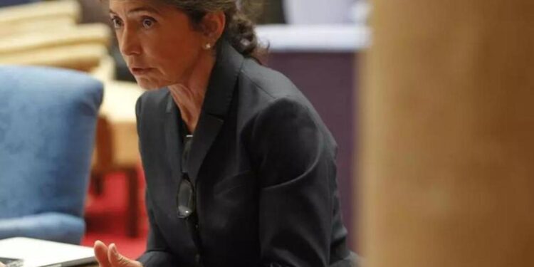 Isabel Aguilera, exdirectora de Google en España: ‘No existe un oligopolio tecnológico; internet nació libre y hay mucho donde elegir’