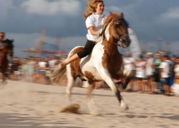 Les Corregudes de Joies de Pinedo ya galopan sobre el mar