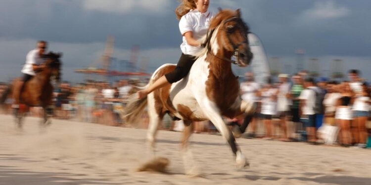 Les Corregudes de Joies de Pinedo ya galopan sobre el mar