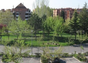 Más zonas verdes, acceso a instalaciones deportivas, control del ruido… así pueden los ayuntamientos mejorar nuestra salud