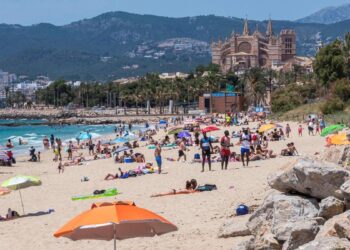 Ni Booking ni Tripadvisor: la OCU desvela la mejor web para que ahorres dinero en tu próximo viaje