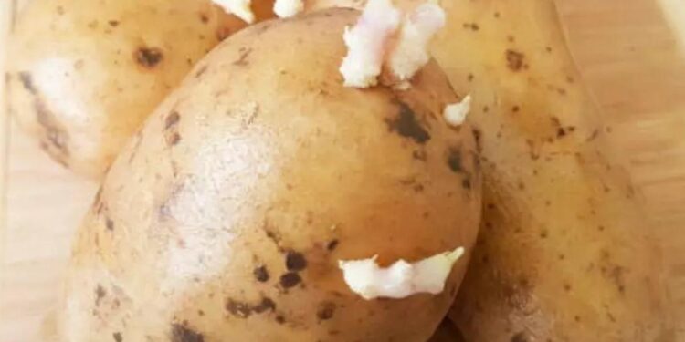 El sencillo y efectivo truco para evitar que broten las patatas que tienes guardadas