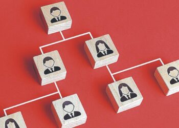 Ajuste de Gobierno limitado