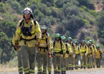 Teresa Ribera llevará al Consejo de Ministros un nuevo Estatuto de agentes forestales y medioambientales para que se apruebe ‘antes del verano’