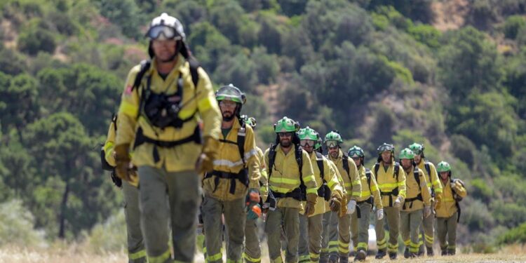 Teresa Ribera llevará al Consejo de Ministros un nuevo Estatuto de agentes forestales y medioambientales para que se apruebe ‘antes del verano’