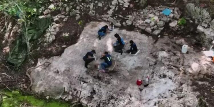 Desvelan datos desconocidos sobre una nueva ciudad perdida de los mayas