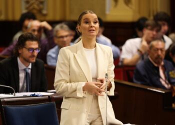 Un proyecto de futuro