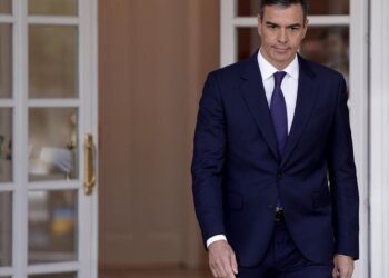 Manos Limpias denuncia también al hermano de Pedro Sánchez por presuntos delitos fiscales y malversación
