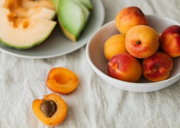 Esta es una de las frutas que puede comer tu perro: todas las partes son seguras