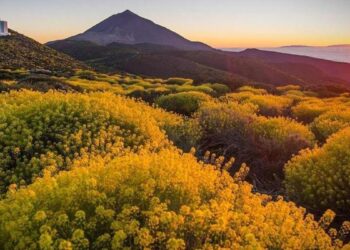 Canarias invierte menos de un céntimo de euro por cada metro cuadrado de espacio protegido