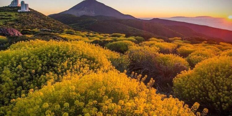 Canarias invierte menos de un céntimo de euro por cada metro cuadrado de espacio protegido