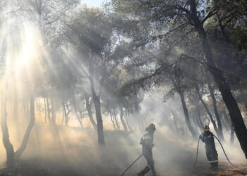 Bomberos de siete países de la UE acuden a ayudar en el incendio que amenaza Atenas