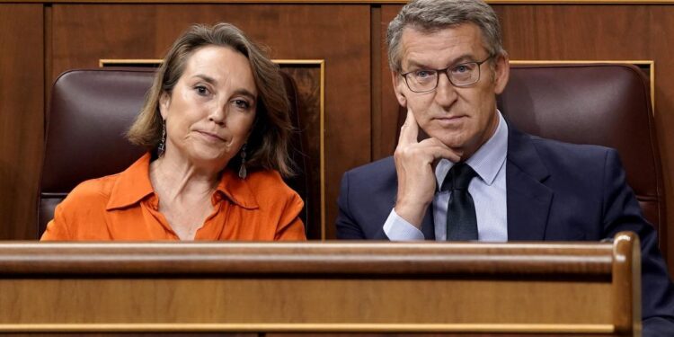 El PP amplía su choque contra el Constitucional y le acusa de “borrar la corrupción del PSOE”