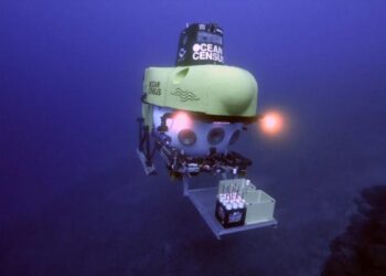 Carrera contrarreloj para descubrir nuevas especies antes de que desaparezcan por el cambio climático