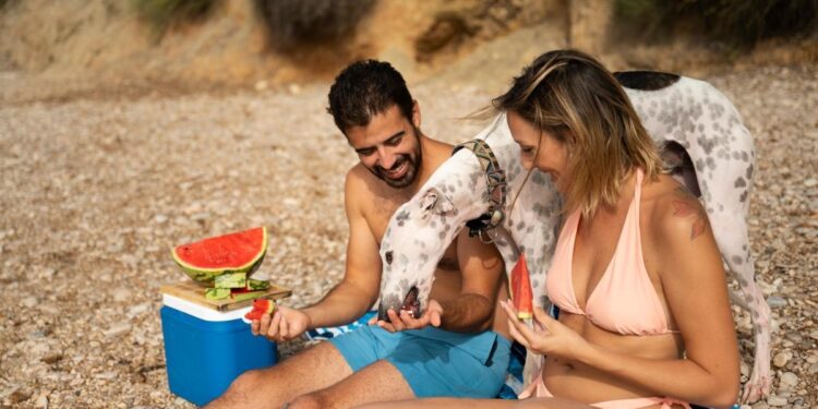 Menús saludables y sabrosos para pasar el día en la playa o disfrutar de un pícnic