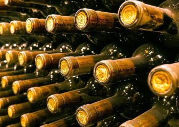 Así es el ‘tufo del vino’, el asesino silencioso que más vidas se cobra en las bodegas españolas: ‘Siempre se le ha tenido miedo’