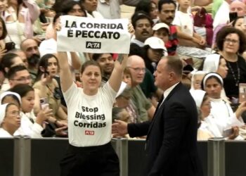 La audiencia del Papa, interrumpida por dos activistas animalistas para pedir el fin de las corridas de toros