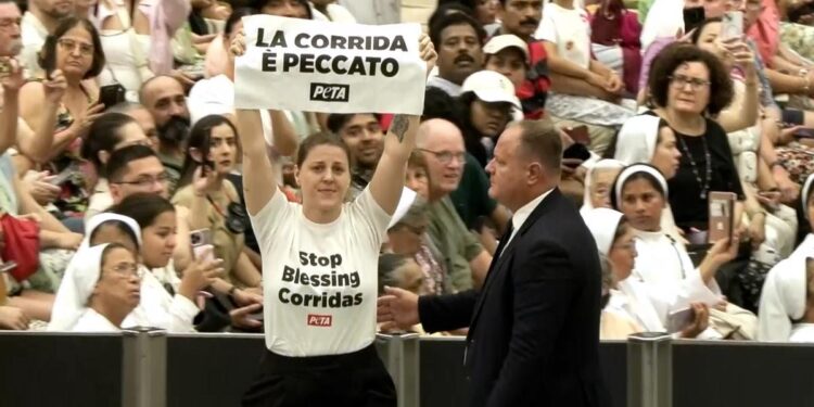 La audiencia del Papa, interrumpida por dos activistas animalistas para pedir el fin de las corridas de toros