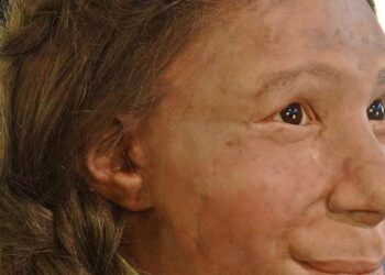 Los virus humanos más antiguos estarían ocultos en los huesos de los neandertales