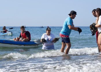 La nueva campaña ciudadana para retirar basura en espacios marinos ya tiene fecha