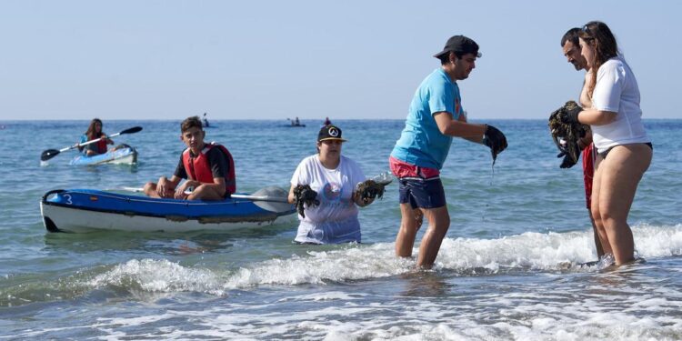 La nueva campaña ciudadana para retirar basura en espacios marinos ya tiene fecha