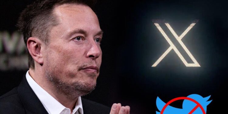 Twitter bloquea en España decenas de cuentas de científicas, divulgadoras y medios de comunicación