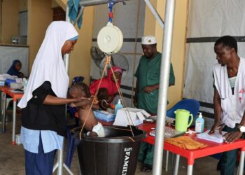 Nigeria: Médicos Sin Fronteras denuncia un ‘aumento sin precedentes’ de los casos de desnutrición