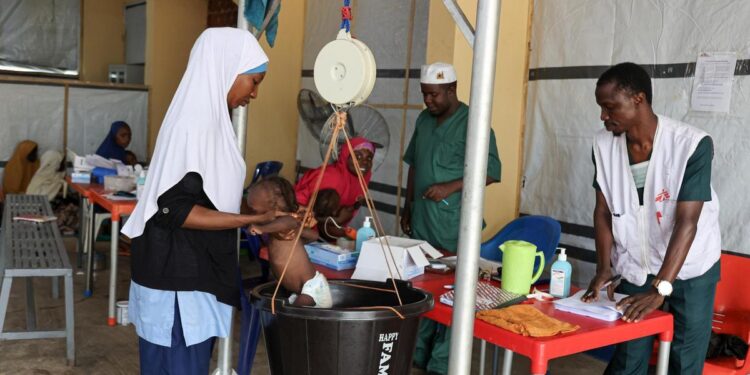 Nigeria: Médicos Sin Fronteras denuncia un ‘aumento sin precedentes’ de los casos de desnutrición