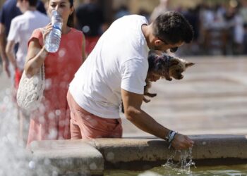 La ola de calor traerá temperaturas superiores a 40ºC el fin de semana pero descenderán a partir del lunes