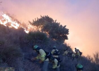 Preocupación por el incendio forestal de Almuñécar (Granada): ‘Estamos teniendo muy mala suerte’