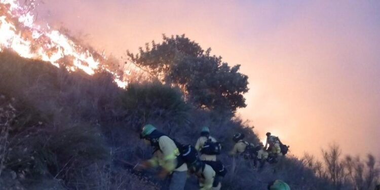 Preocupación por el incendio forestal de Almuñécar (Granada): ‘Estamos teniendo muy mala suerte’