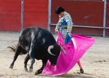 Pozuelo de Alarcón se prepara para su Feria Taurina de septiembre: fechas y programación