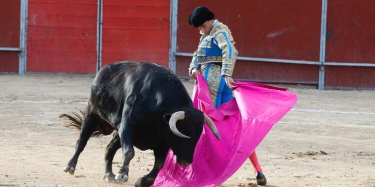 Pozuelo de Alarcón se prepara para su Feria Taurina de septiembre: fechas y programación