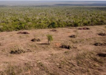 Una investigación saca a la luz un escándalo sobre el algodón ‘ecológico’ que usan Zara y H&M