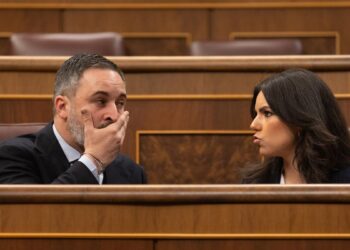 El Tribunal de Cuentas señala a Vox por el origen de sus donaciones y se arriesga a ser sancionado