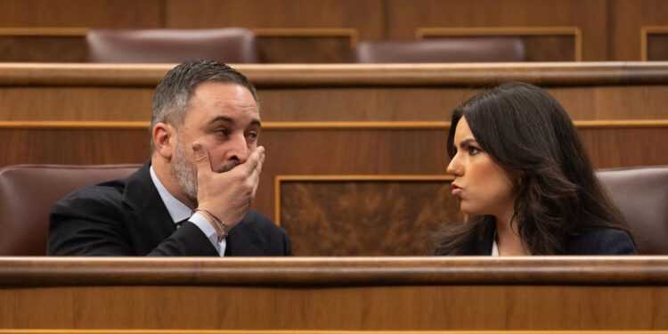 El Tribunal de Cuentas señala a Vox por el origen de sus donaciones y se arriesga a ser sancionado