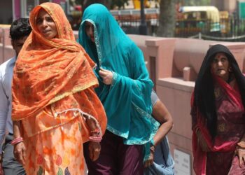 Medio mundo, envuelto en calor extremo: ya hay casi 1.000 alertas activas por altas temperaturas en más de 20 países