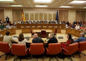 Los eurodiputados recogen su acta en el Congreso y juran la Constitución