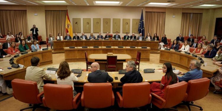 Los eurodiputados recogen su acta en el Congreso y juran la Constitución