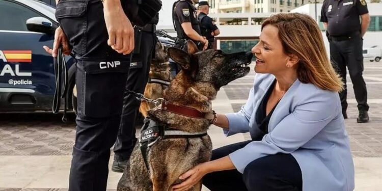 El último aviso de la Policía Nacional a los responsables de su animal de compañía: hartos de que se repita cada verano