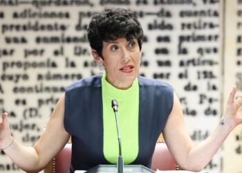 Elma Saiz circunscribe su papel en la contratación de Navarra al ‘control’ y no recuerda su relación con Koldo