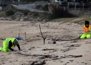 La causa del vertido de los pélets, camino del archivo