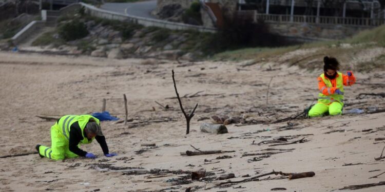 La causa del vertido de los pélets, camino del archivo