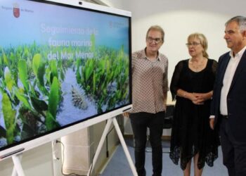 El Mar Menor triplica su fauna marina en un año, según los científicos