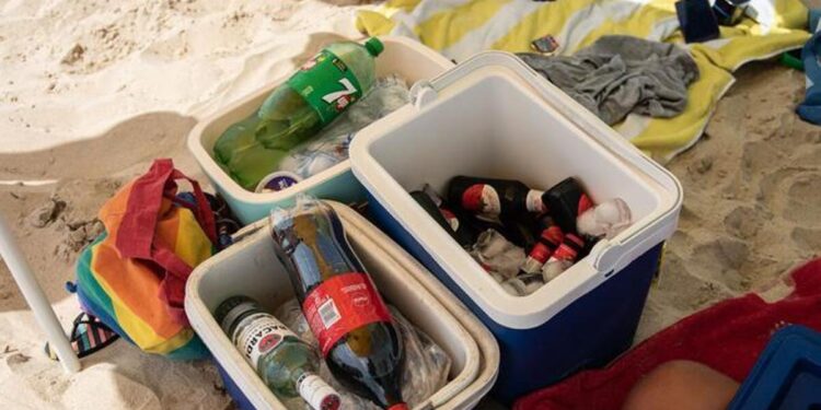 ¡Ojo con la nevera portátil! Estos son los alimentos que debes evitar en la playa este verano