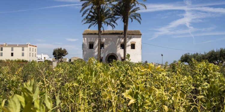 Hipocresía climática y agricultura